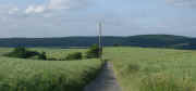 06160041.jpg (41272 Byte)