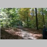 IMG_9680_In-den_herbstlichen-Wald.JPG