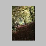 IMG_9695_Herbstlicher-Pfad.JPG