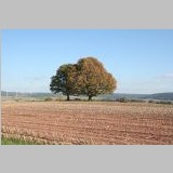 IMG_9721_Heilige-Eichen.JPG