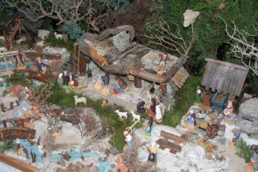 Bild der Krippe 2014